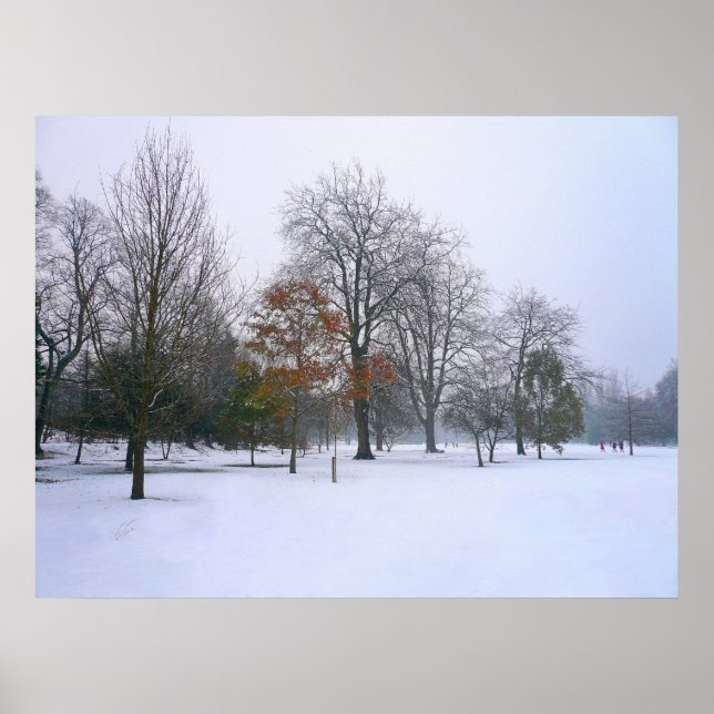Póster Nieve de invierno, Parque Bute, Cardiff, Gales (Frente)