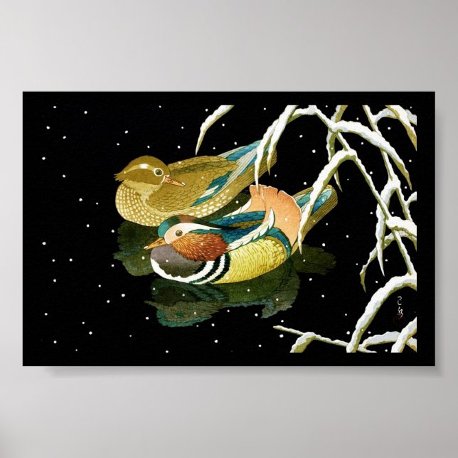 Póster Nieve de mandarina japonesa de pato negro sobre el (Frente)