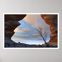 Póster Nieve desértica