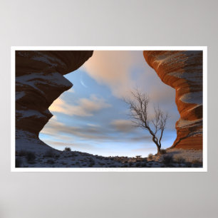 Póster Nieve desértica