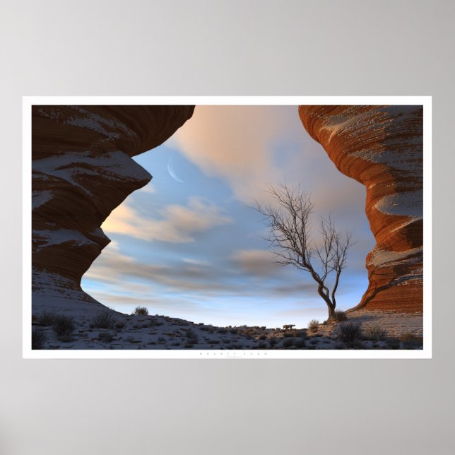 Póster Nieve desértica (Frente)