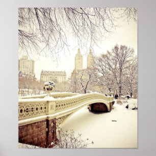Póster Nieve en Central Park - Nueva York en invierno