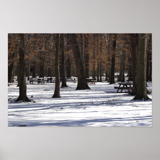 Póster Nieve en el Poster Park (Frente)