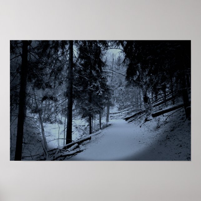 Póster Nieve en el sendero de excursión 3 (Frente)