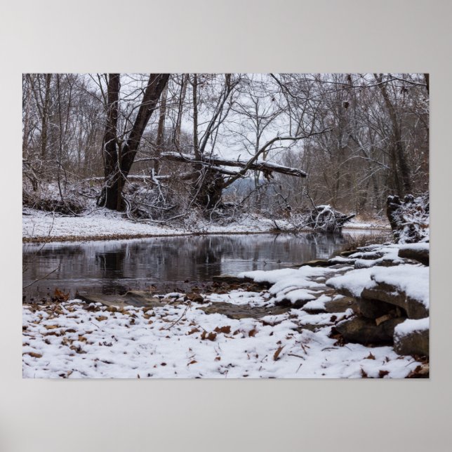 Póster Nieve En Finley (Frente)