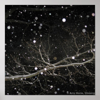 Póster Nieve en la noche