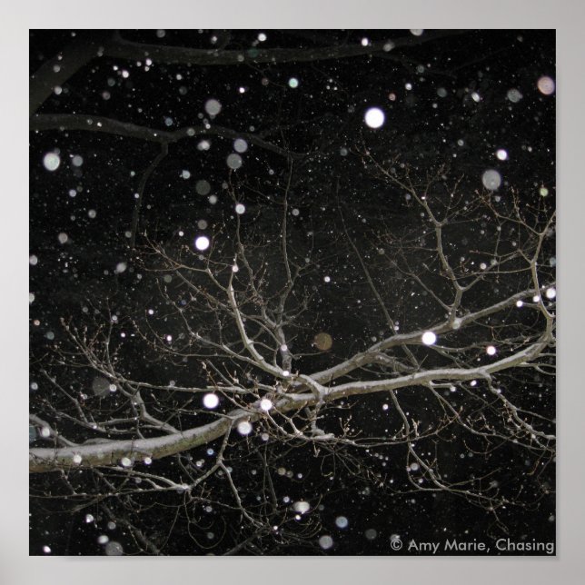 Póster Nieve en la noche (Frente)