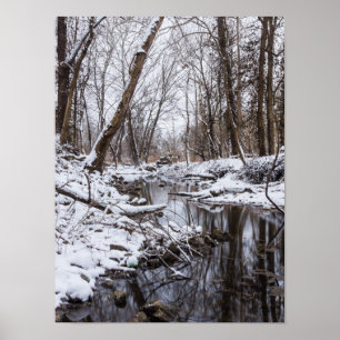 Póster Nieve en Riverside