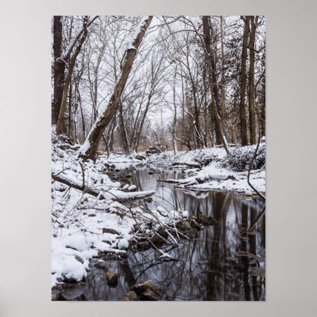 Póster Nieve en Riverside (Frente)