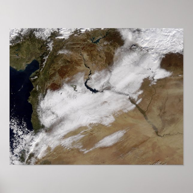 Póster Nieve en Siria (Frente)