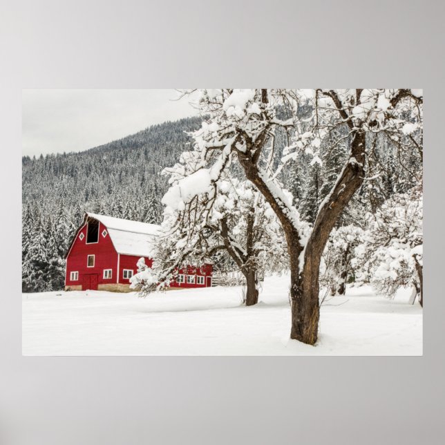 Póster Nieve fresca en granero rojo (Frente)