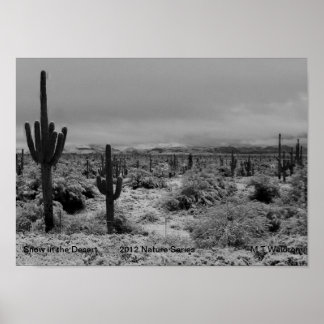 Póster Nieve impresa en la serie natural del desierto 201