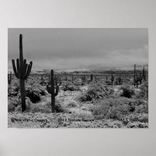 Póster Nieve impresa en la serie natural del desierto 201 (Frente)