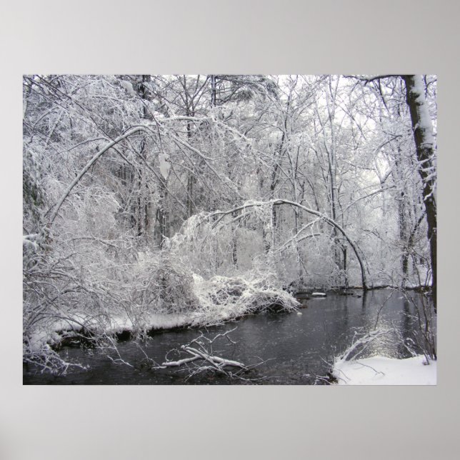 Póster Nieve pegajosa 27 ~ Imprimir (Frente)