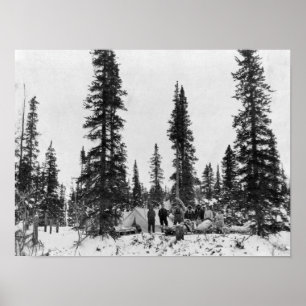 Póster Nieve que acampa al norte del Círculo Polar Ártico