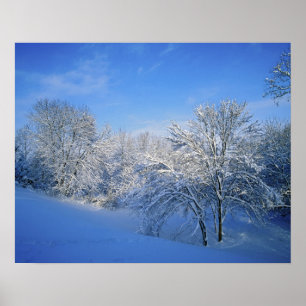 Póster Nieve récord en Louisville, Kentucky.