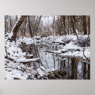 Póster Nieve Riverside