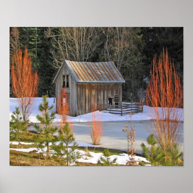 Póster Nieve Shed (Frente)