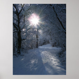 Póster Nieve y luz