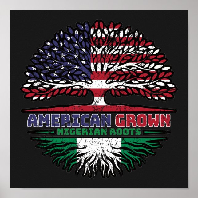 Póster Nigeria Nigeriana Estados Unidos de América Estado (Frente)