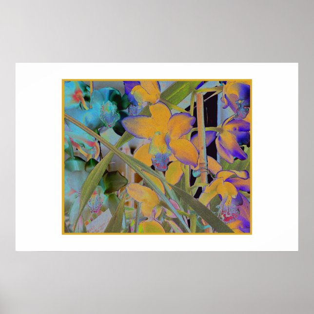 Póster Night Bloom (Frente)