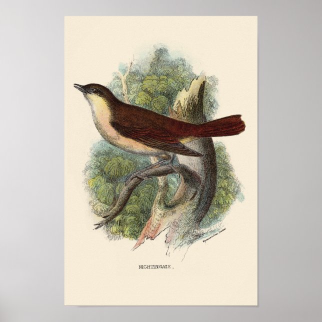 PÓSTER NIGHTINGALE PRINT (Frente)