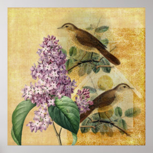 Póster Nightingales con Lilac