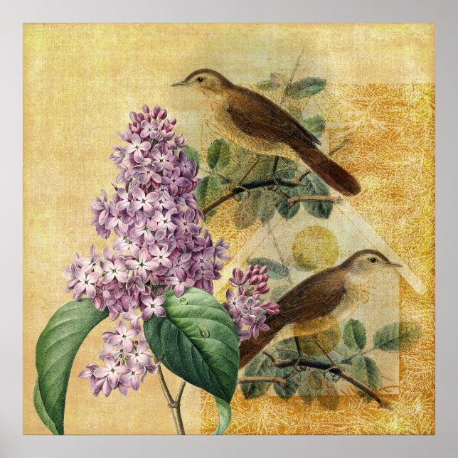 Póster Nightingales con Lilac (Frente)