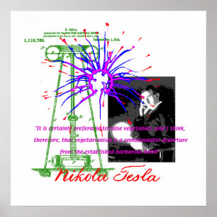 Póster Nikola Tesla poster