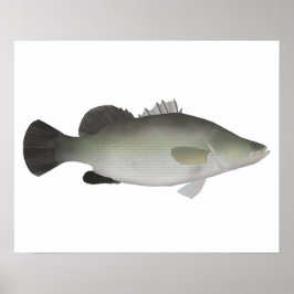 Póster Nile Perch