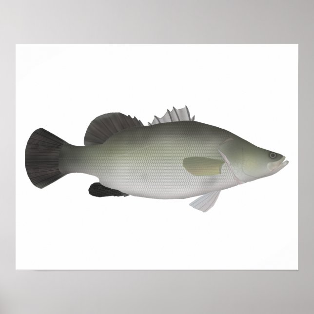 Póster Nile Perch (Frente)