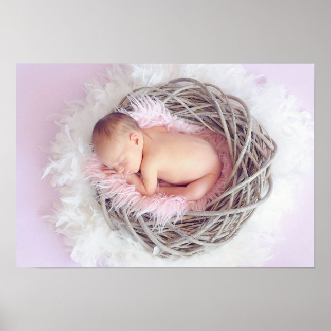 Póster Niña bebé en su nido (Frente)