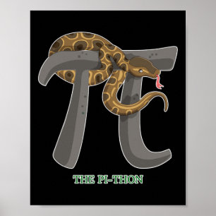 Póster Niñas Camisas De Pi Day Hombres Math Teacher Niño