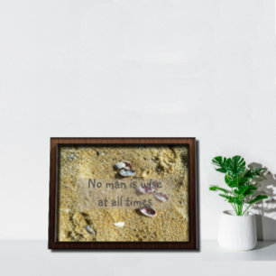 Póster Ningún hombre es sabio proverbio inspirador y post