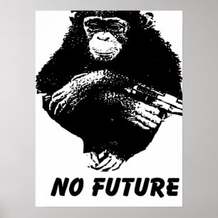 Póster Ningún mono futuro