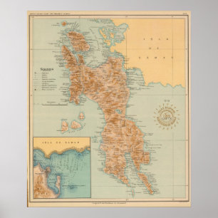 Póster Ningunos 19 Leyte