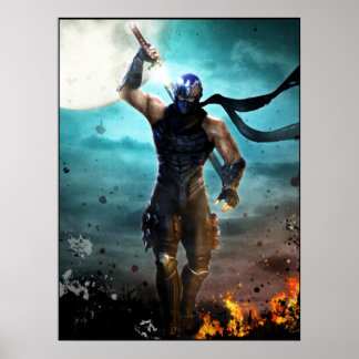 Póster ninja gaiden