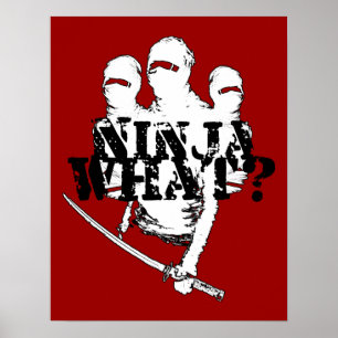 PÓSTER ¿NINJA QUÉ?