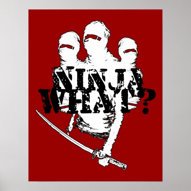 PÓSTER ¿NINJA QUÉ? (Frente)