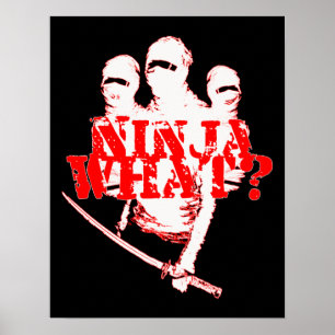 PÓSTER ¿NINJA QUÉ?