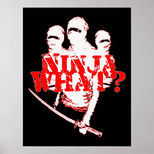 PÓSTER ¿NINJA QUÉ? (Frente)