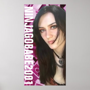 PÓSTER NINJAGOBABE2001