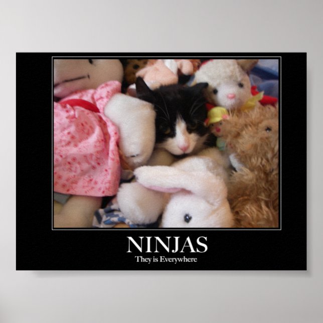 Póster Ninjas - Están por todas partes (Frente)