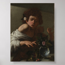 Póster Niño mordido por un lagarto