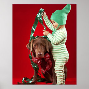 Póster Niño pequeño que adorna un perro