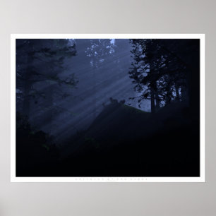 Póster Niños de la noche