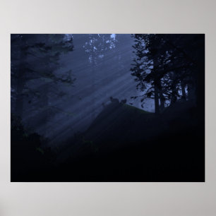 Póster Niños de la noche