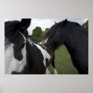 Póster Niños gitanos