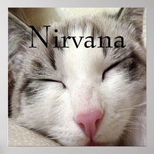 Póster Nirvana Cat