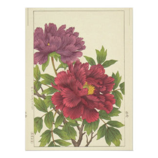 Póster Nishimura Hodo Peonía Flores Japoneses Arte Fino